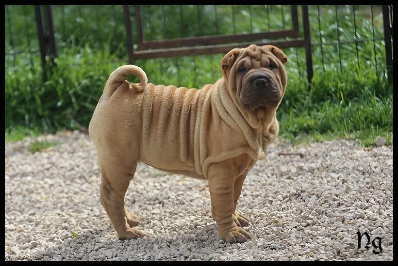 Publication : des Plis Malicieux