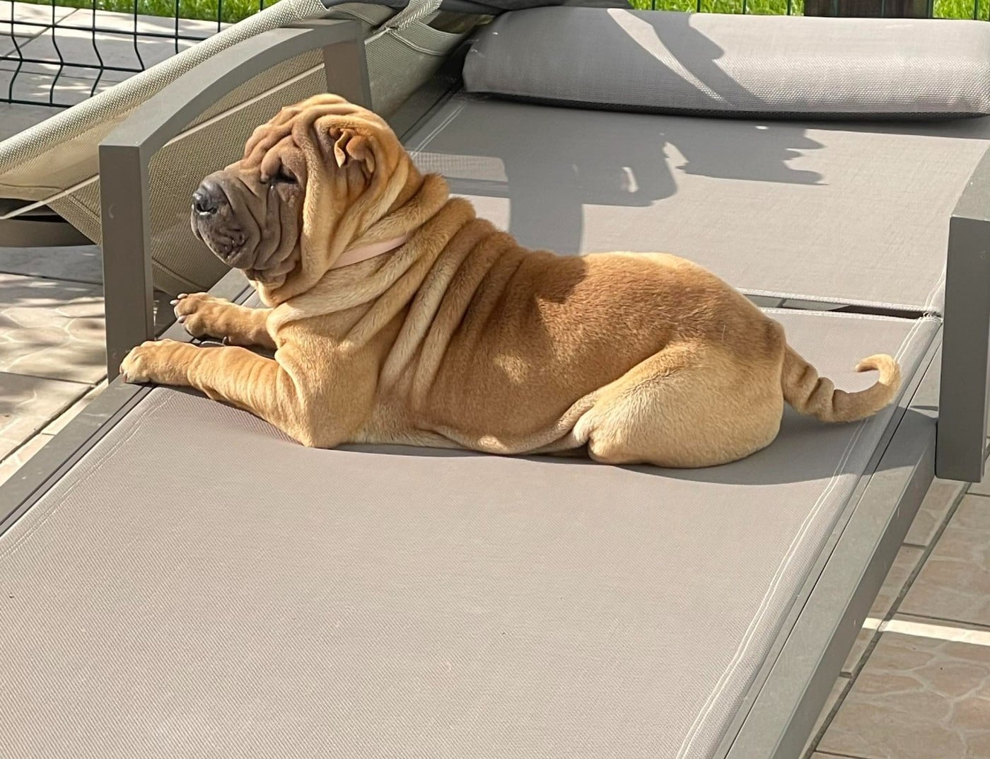 Publication : des Plis Malicieux