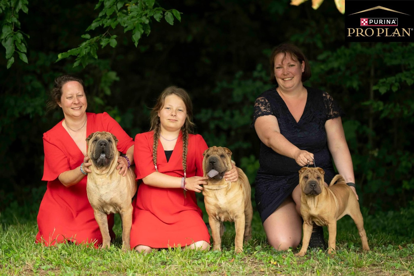 Publication : des Plis Malicieux