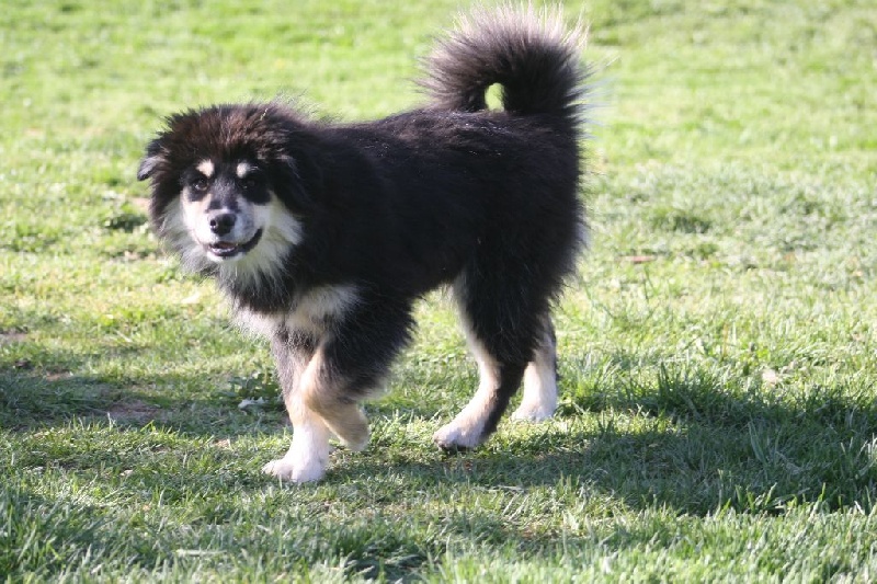 Publication : du puy du soleil Auteur : Mme LUTZ