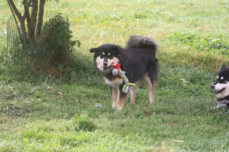 Publication : du puy du soleil Auteur : Mme LUTZ
