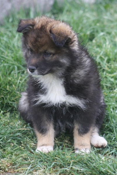 Publication : du puy du soleil Auteur : Mme LUTZ