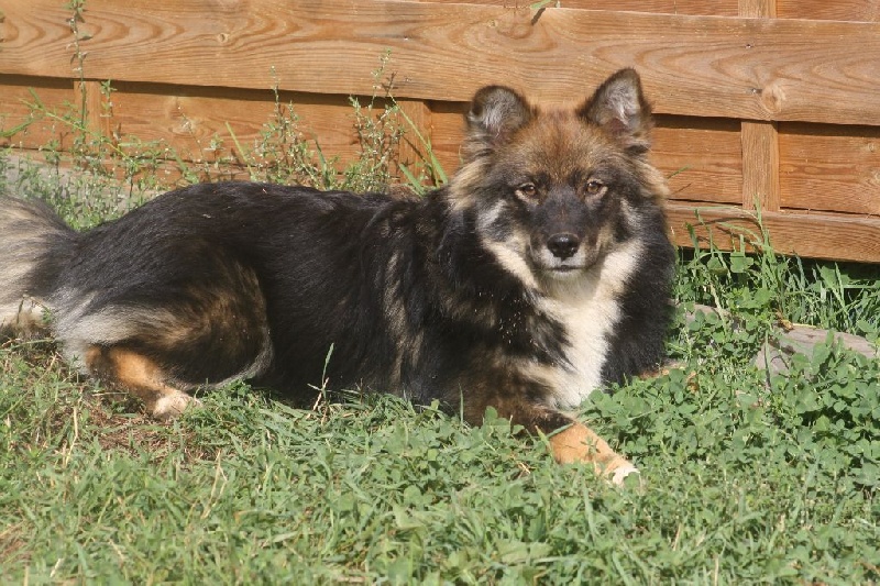 Publication : du puy du soleil Auteur : Mme LUTZ