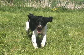 Publication : of Glharama Auteur : C.Delecluse