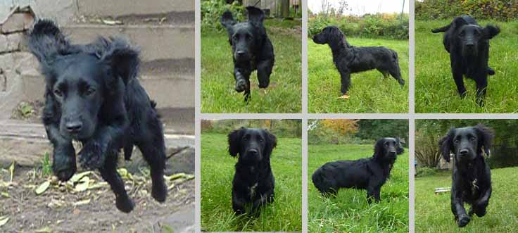 Publication : of Glharama Auteur : C.Delecluse