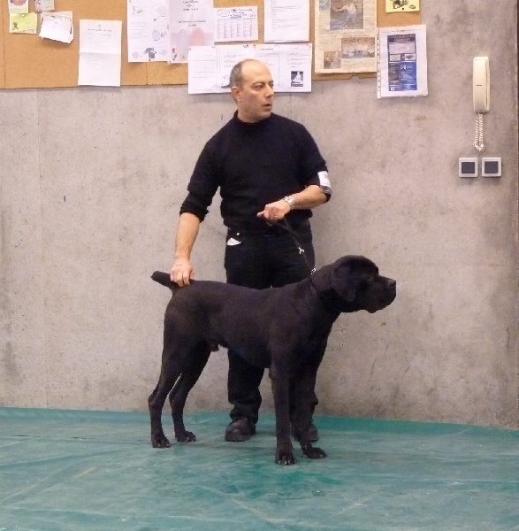 Haribo du Mas des Amandiers - 2eme EXCELLENT