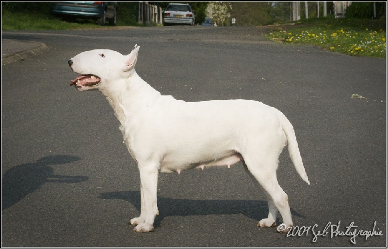 Publication : Madlab Auteur : Sébastien savarin