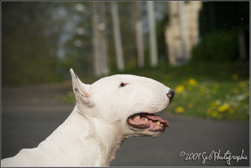 Publication : Madlab Auteur : Sébastien savarin