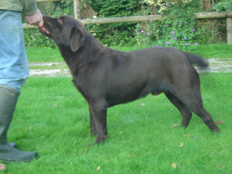 Publication : des Berberis Auteur : Thierry Bezin