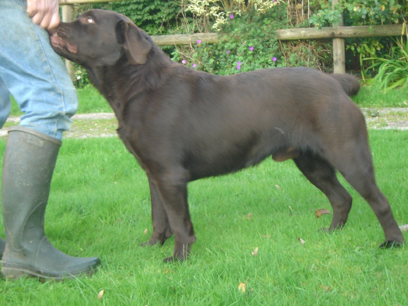 Publication : des Berberis Auteur : Thierry Bezin