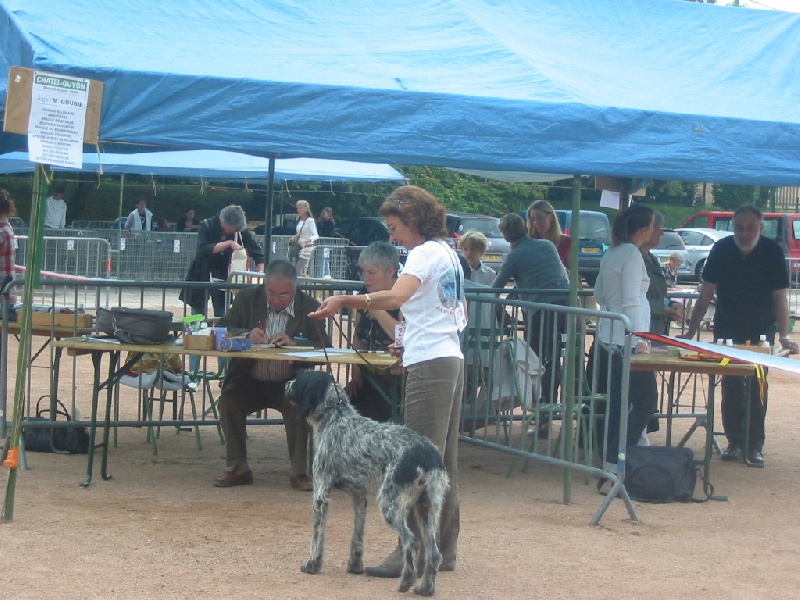 Publication : de la Ronce du Gevaudan Auteur : claudine