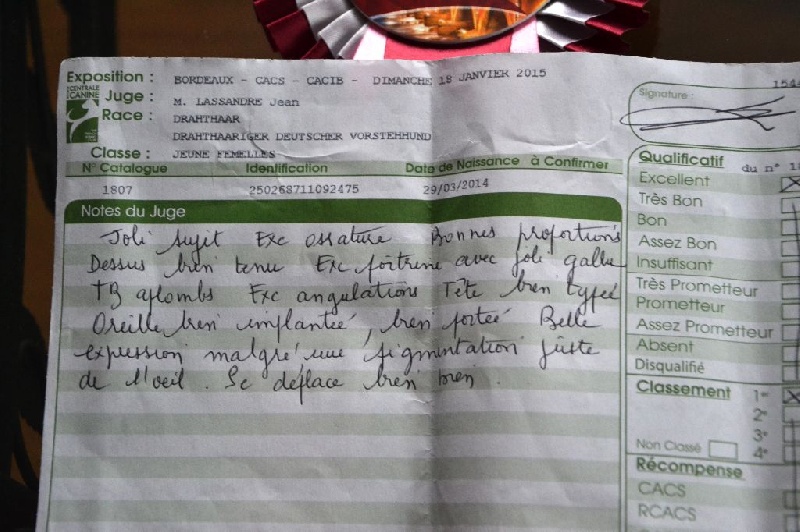 Jdin de la Ronce du Gevaudan - EXCELLENT