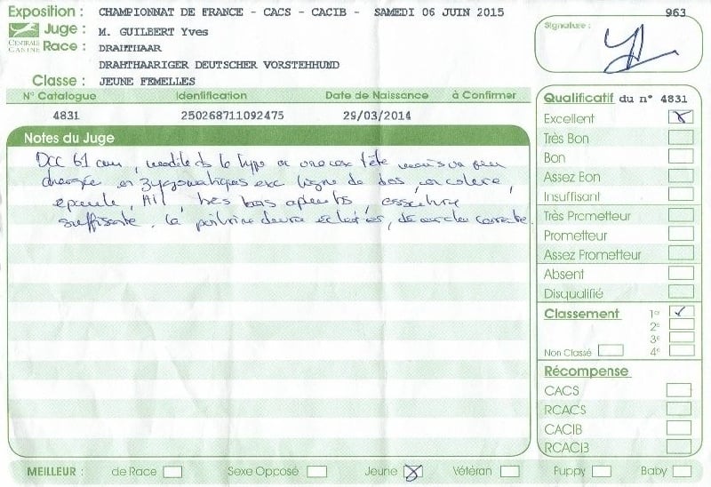 Jdin de la Ronce du Gevaudan - MEILLEUR JEUNE