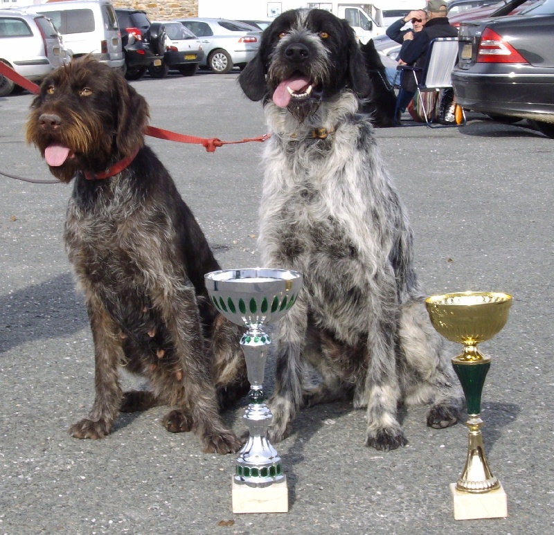 Usty de la blardonière - CACS - CACIB- MEILLEUR DE RACE