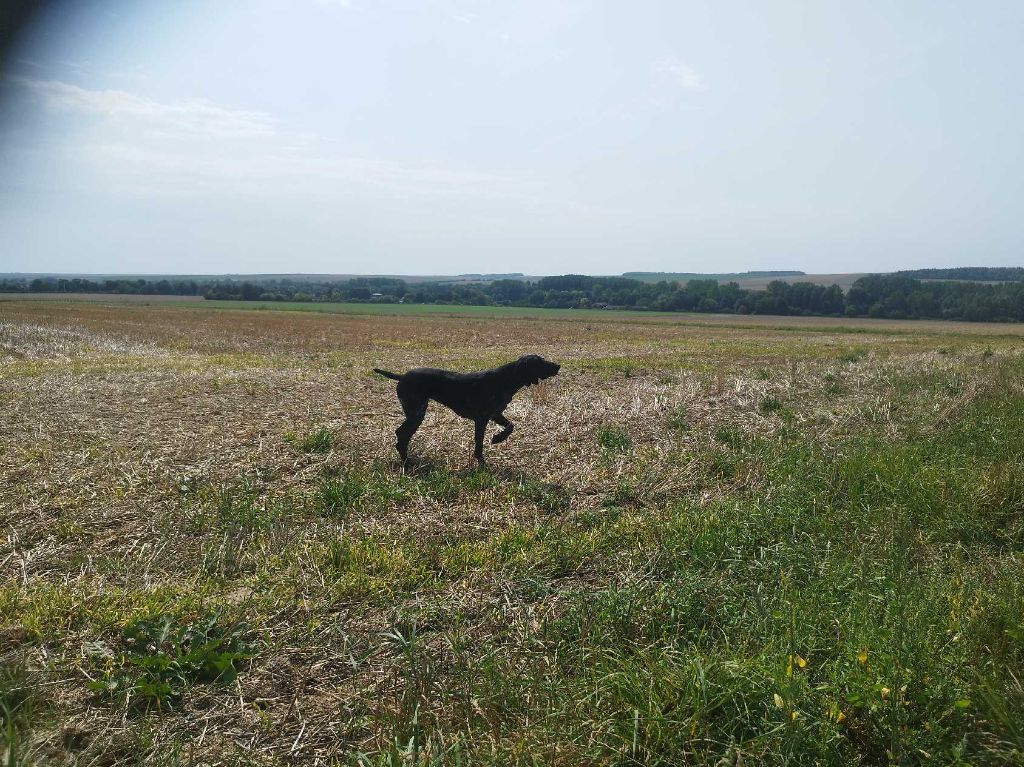 TR. Undiz du Coteau de Saveton