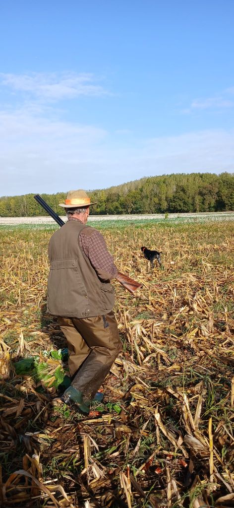 TR. Undiz du Coteau de Saveton