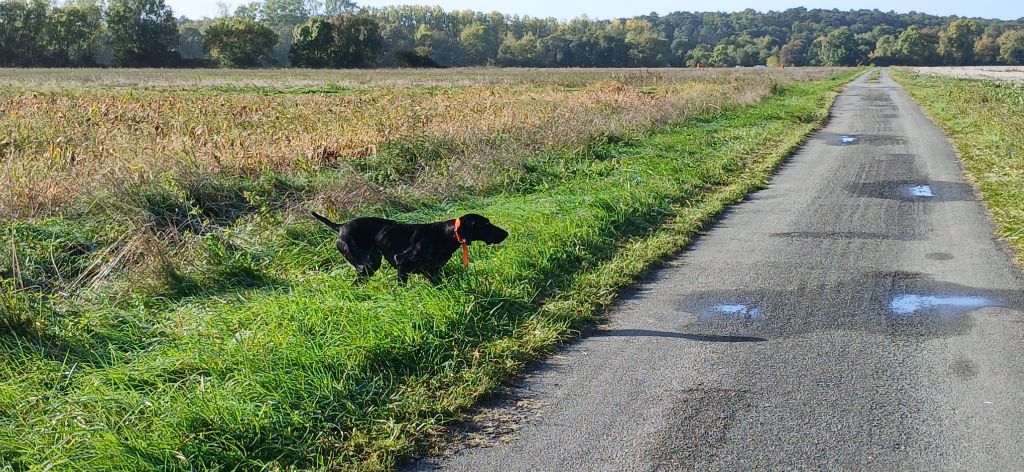 TR. Undiz du Coteau de Saveton