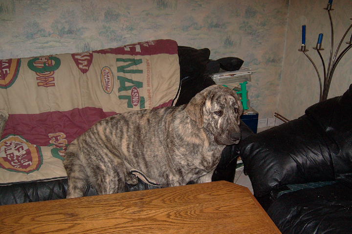 Publication : des Jardins de Grenade