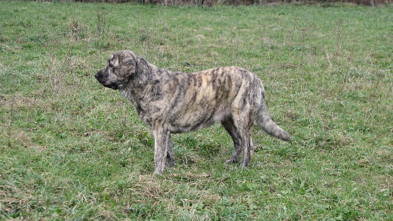 Publication : des Jardins de Grenade