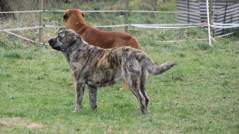 Publication : des Jardins de Grenade