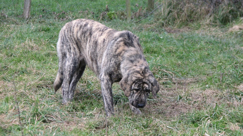 Publication : des Jardins de Grenade