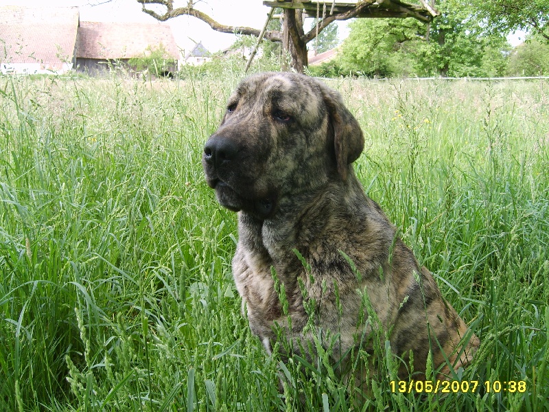 Publication : des Jardins de Grenade