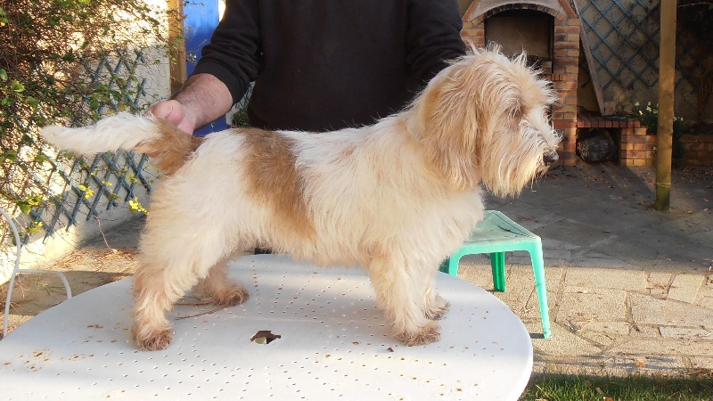 Publication : des Bords de L'Anse Auteur : le proprietaire