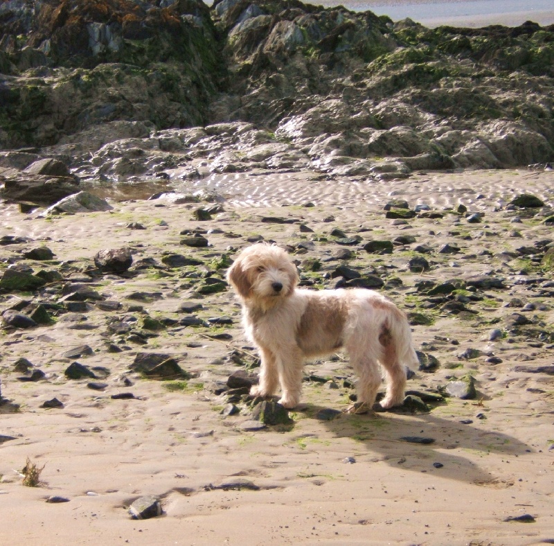 Publication : des Bords de L'Anse Auteur : le proprietaire