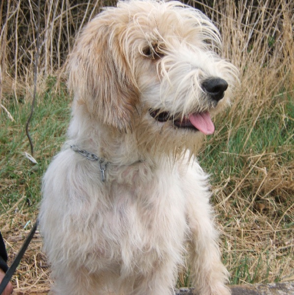 Publication : des Bords de L'Anse Auteur : le proprietaire