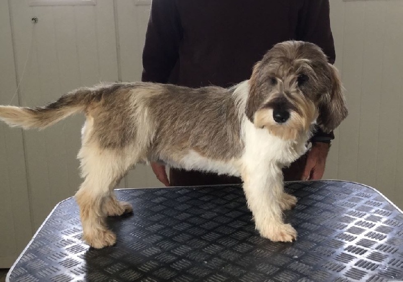 Judy des Bords de L'Anse - excellent