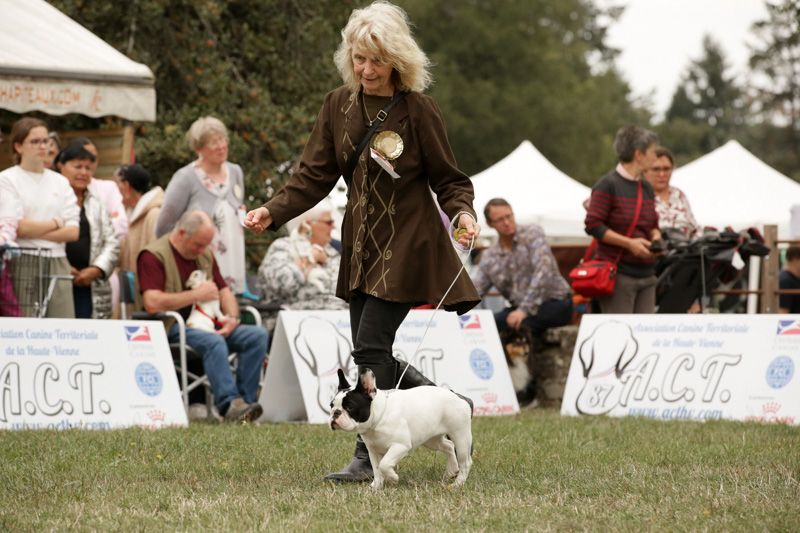 Amaterasu omikami d'Iskandar