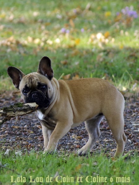 Publication : d'Iskandar