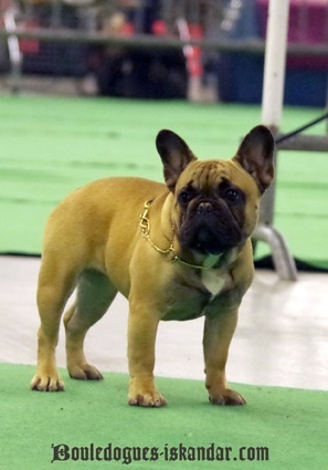 Lola lou de colin et coline - TRES PROMETTEUR