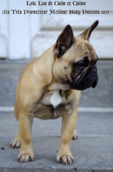 Lola lou de colin et coline - 1er Très Prometteur, MEILLEUR BABY
