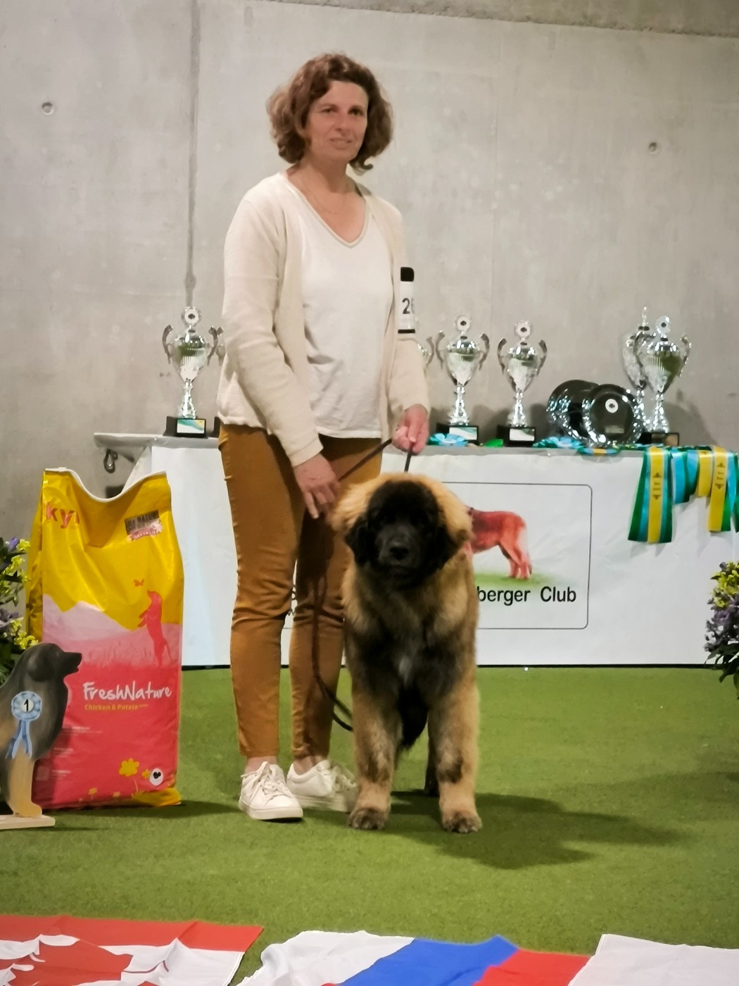 UNE ILE des Terres de Brière