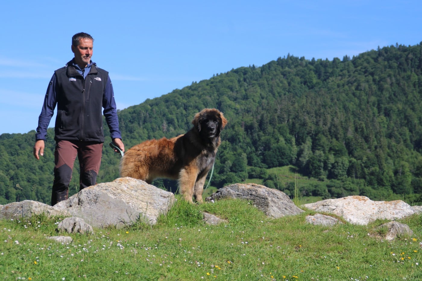 UNE ILE des Terres de Brière