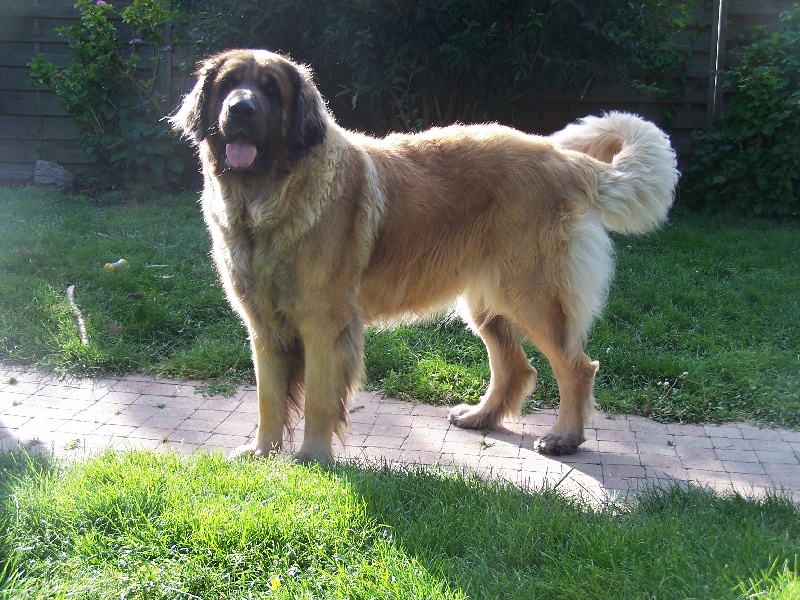 Publication : des Terres de Brière Auteur : Mr & Mme Bellard