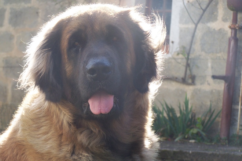 Publication : des Terres de Brière Auteur : Mr & Mme Bellard