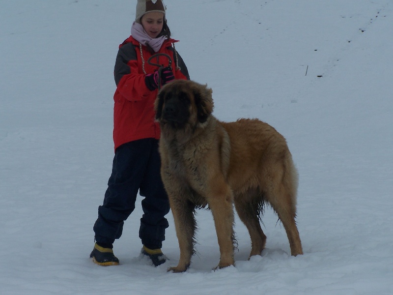 Publication : des Terres de Brière Auteur : Mr & Mme Bellard