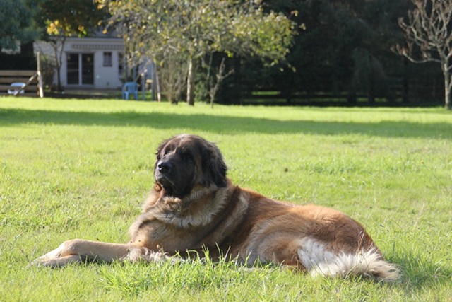 Publication : des Terres de Brière Auteur : Mr & Mme Bellard