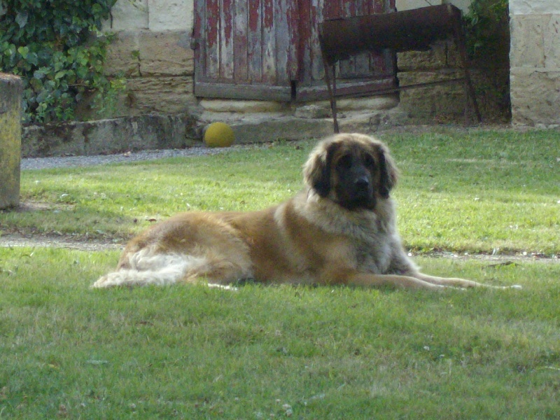 Publication : des Terres de Brière Auteur : Mr & Mme Bellard