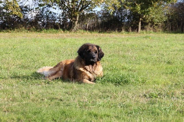 Publication : des Terres de Brière Auteur : Mr & Mme Bellard