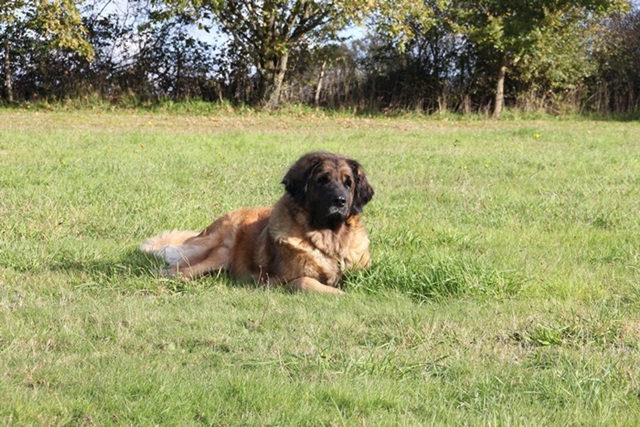 Publication : des Terres de Brière Auteur : Mr & Mme Bellard