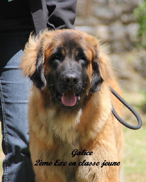 Publication : des Terres de Brière Auteur : BELLARD Nathalie