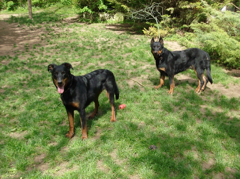 Publication : du Trefle Noir Auteur : Laurence BARTHELEMY