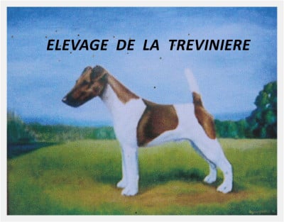 de la Treviniere