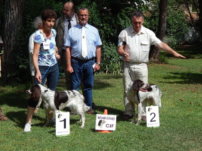 Publication : de la passion du poete Auteur : THOUY Eric