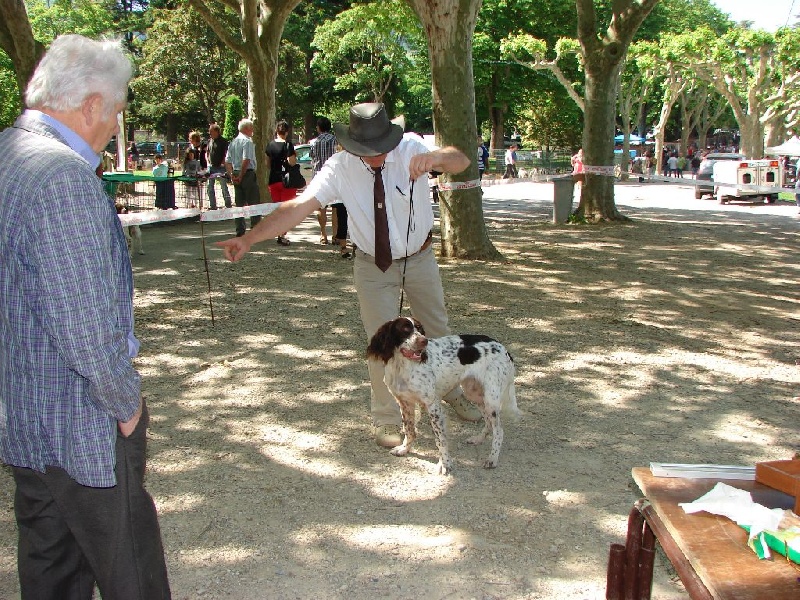 Publication : de la passion du poete Auteur : THOUY Eric