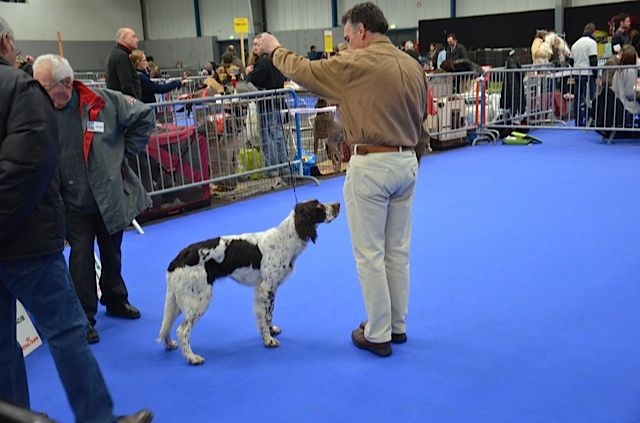 Publication : de la passion du poete Auteur : THOUY Eric