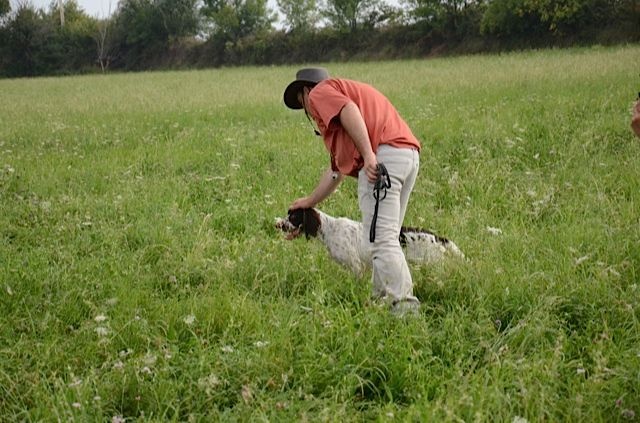 Publication : de la passion du poete Auteur : THOUY Eric